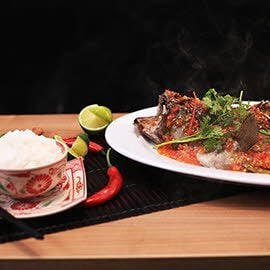 Jiang Zheng Talapia Jiang Zheng Talapia