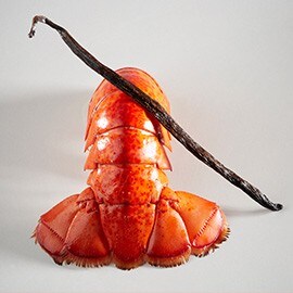 3. Vanilla and lobster 3. Vanilla and lobster