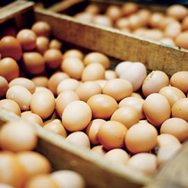 6. Eggs 6. Eggs