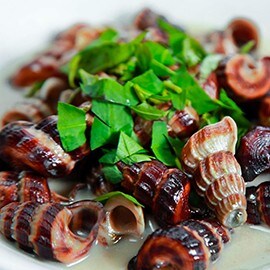 7. Shellfish 7. Shellfish