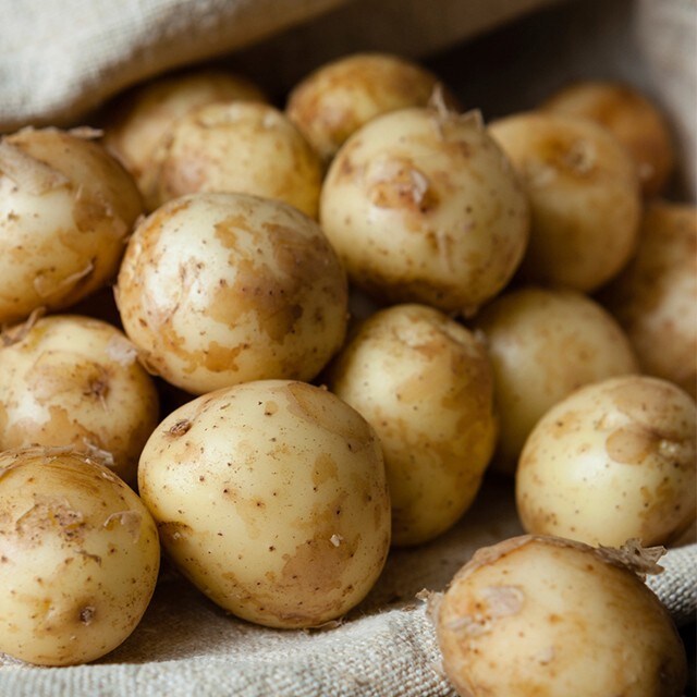 Mash It Up: Reinvent Mashed Potatoes Through a Variety of Dishes