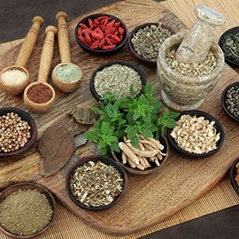 5. Thảo mộc 5. Thảo mộc
