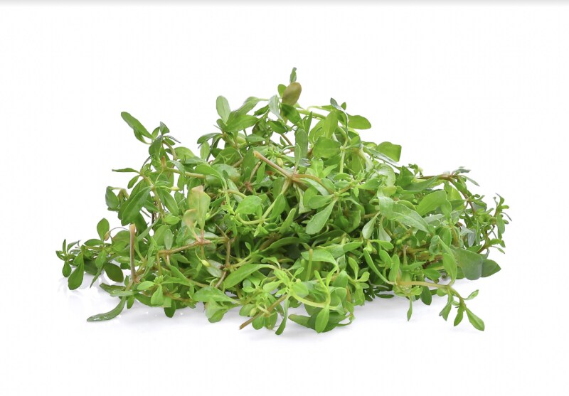 Rau đắng ăn kèm lẩu thái 