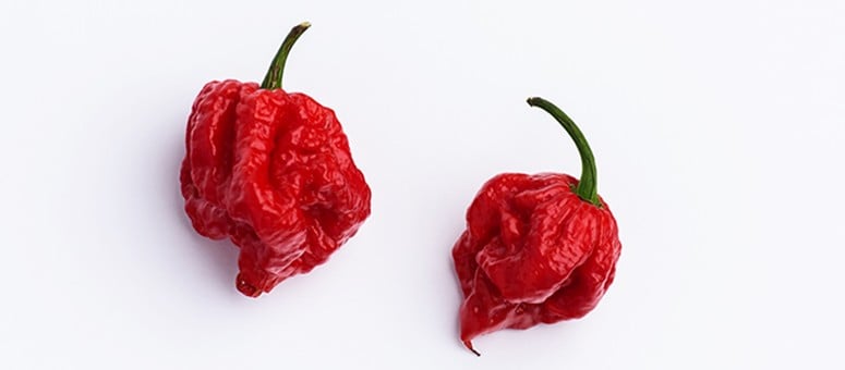 Các loại ớt cay nhất thế giới Carolina Reaper Các loại ớt cay nhất thế giới Carolina Reaper
