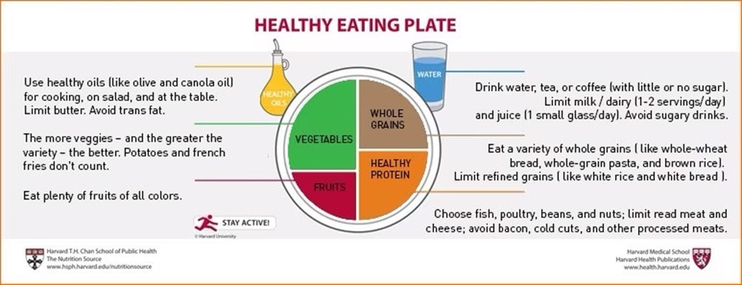 Công thức "Đĩa ăn lành mạnh