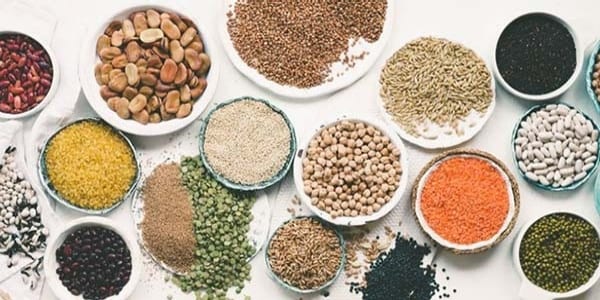 a diveristy of Veg, Herbs & Grains