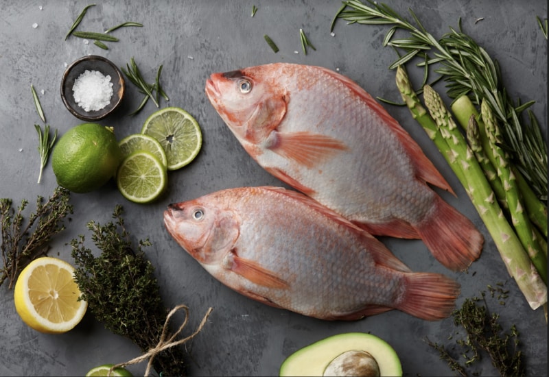 Cá diêu hồng giàu protein và khoáng chất rất tốt cho sức khỏe con người Cá diêu hồng giàu protein và khoáng chất rất tốt cho sức khỏe con người