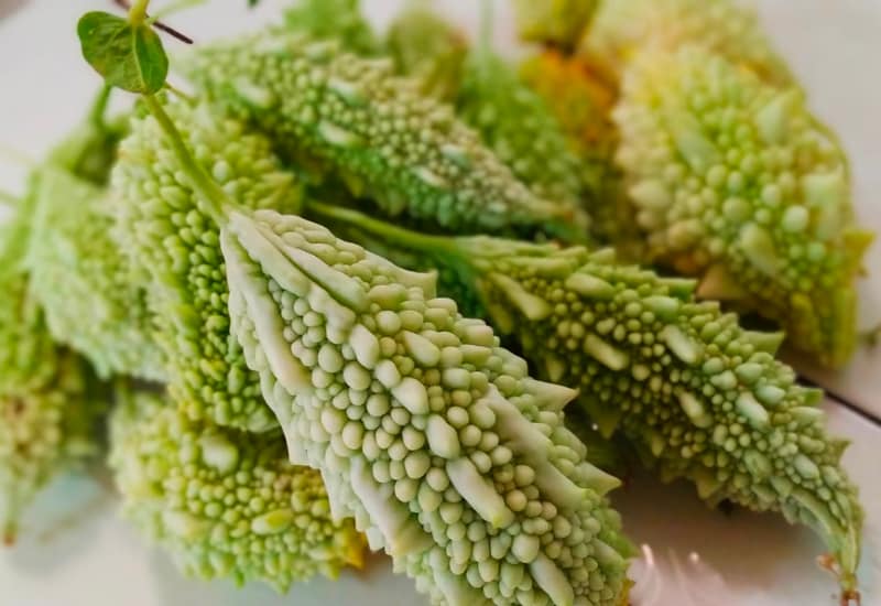 Rau khổ qua ăn lẩu cá thác lác Rau khổ qua ăn lẩu cá thác lác