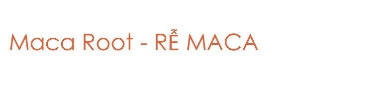 Maca root Maca root