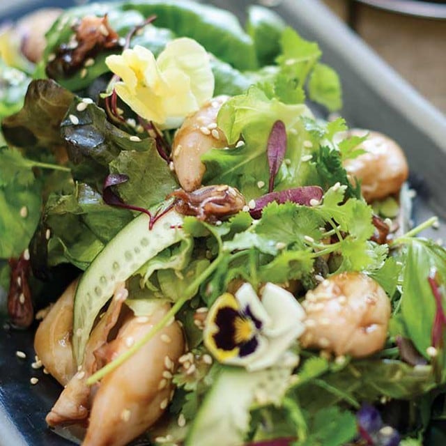 5 Bí kíp và Thủ thuật để Trang trí món Salad của bạn thật bắt mắt