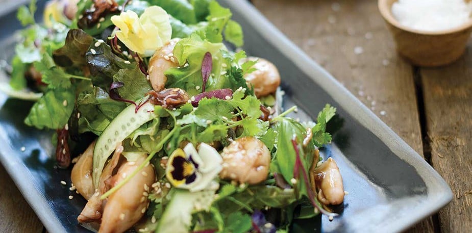 5 Bí kíp và Thủ thuật để Trang trí món Salad của bạn thật bắt mắt