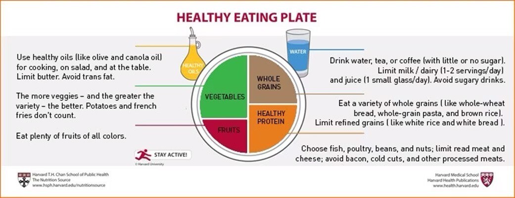 Công thức "Đĩa ăn lành mạnh
