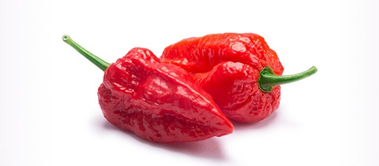 Các loại ớt cay nhất thế giới  Naga Viper
